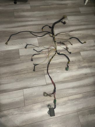 here’s the harness 