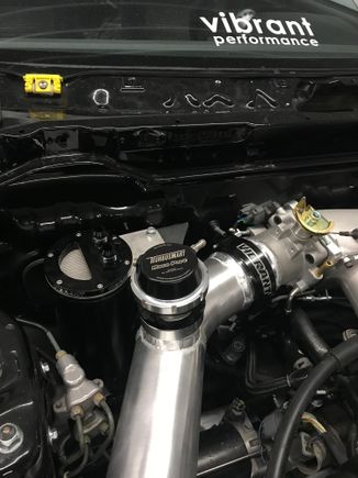 Vibrant Vanjen 3 clamp installed to the TB, Vibrant overflow tank mounted to a bracket for the oem fuel filter, DP fixed, Dump tube extended.