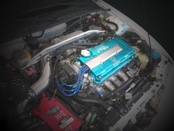 vtec yo
