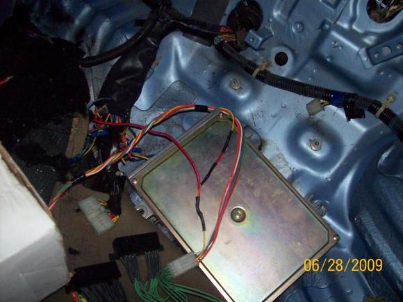 ecu n harness