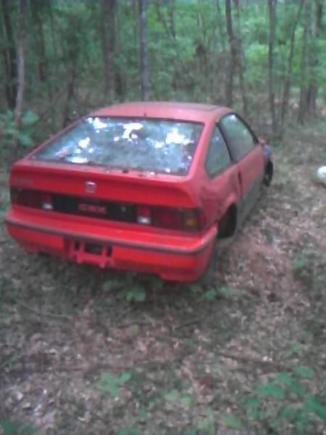 When she was in the woods.