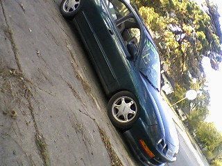 Photo 0074