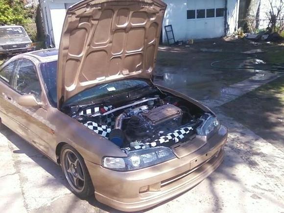 teg body shot