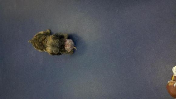 2011 11 27 15 57 11 356