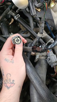 And for the ect sensor it says voltage high, but i dont see any other connectirs around using the same male, or im an idiot and the d16 has its sensor in a different spot