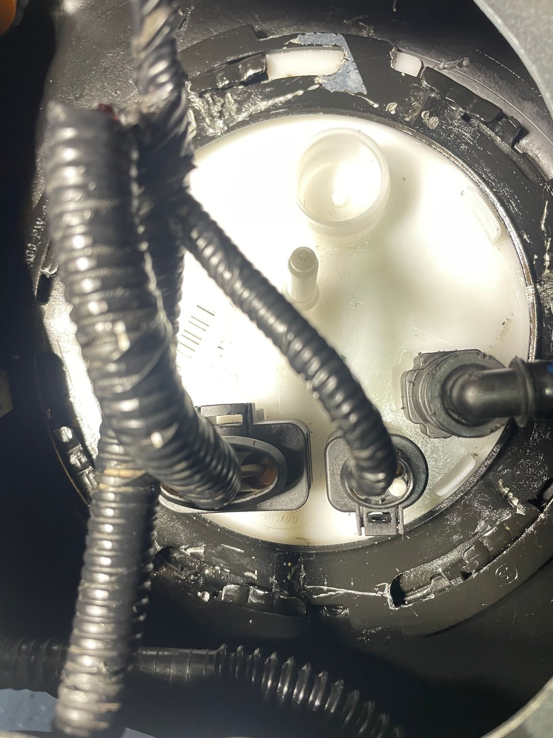 picture of the hose I ordered to replace next. The one on the right. 