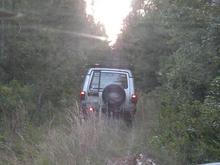 blazing a trail