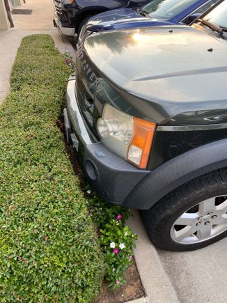 Found a perfectly trimmed LR3 bush while out for dinner tonight.