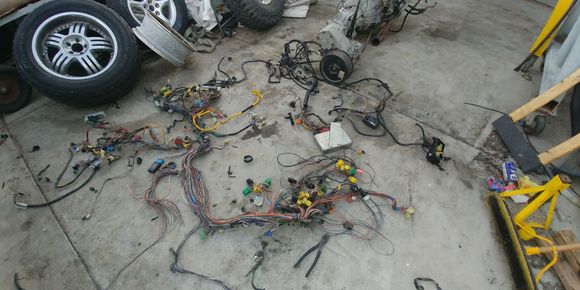 Entire under dash and engine harness with relays and fuses