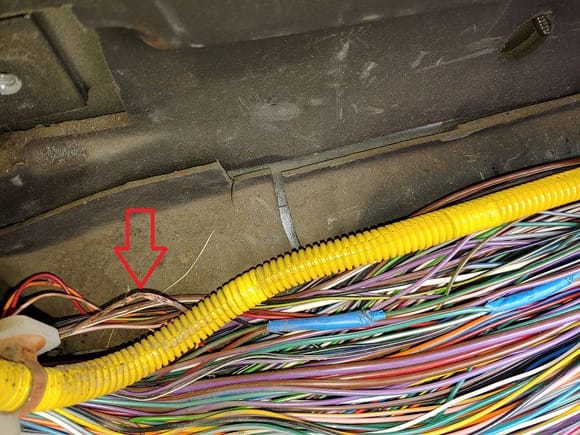 The one wire that started all of this, from fuse satellite 2(melted bare wire) to the window lift ecu, and and ended up taking a couple other wires with it :S
