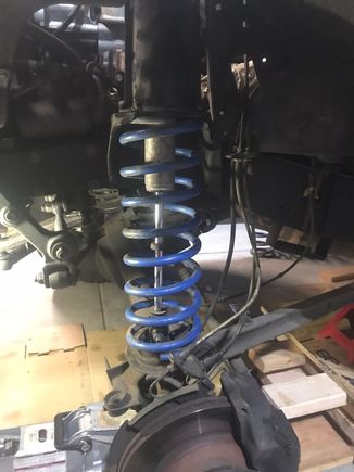 Big blues and fox shocks in front