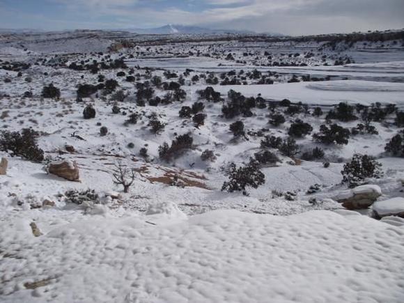 WinterMoabJan3,2011 032