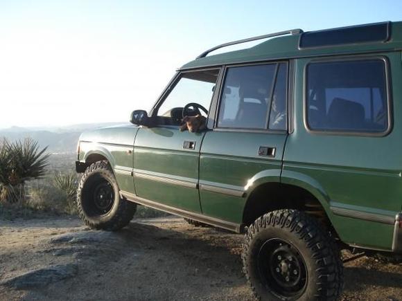 disco and doggy on desert mountain top