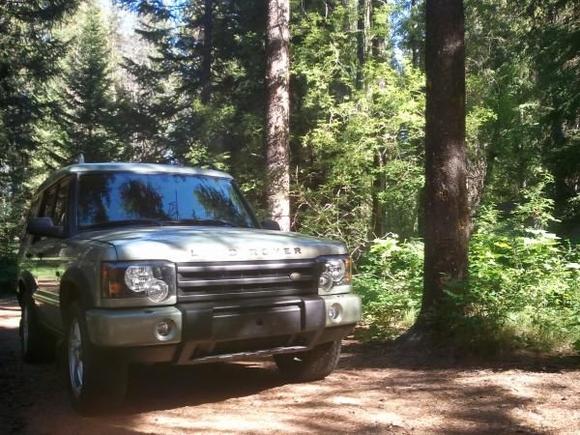 Took the Disco to our cabin in McCall.