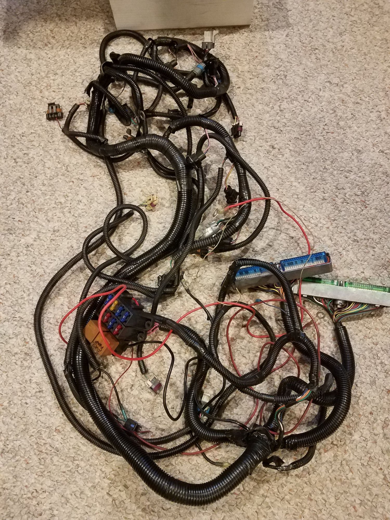 LS Swap DBC Engine Harness and ECM LS1TECH Camaro and Firebird