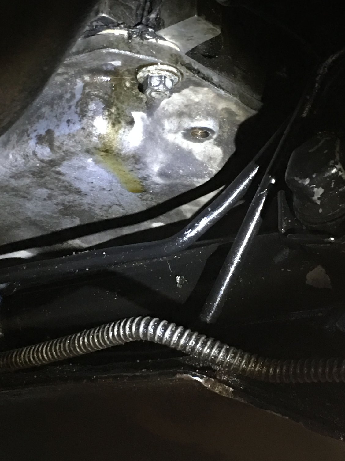 Oil pan gasket leak? LS1TECH Camaro and Firebird Forum Discussion