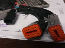 MSD Adapter Harness