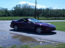 1995 (LT1) TransAm