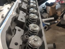 BTR dual valve springs 