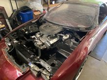 Pulled the trigger on the polycarbonate optic armor front and rear windshields