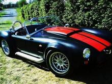 cobra1