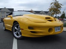 Garage - viper yellow ls1 convertible trans am ws6