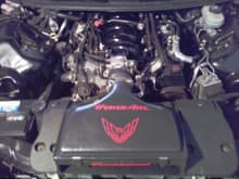 just after ls6 intake install