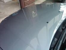 Ford Fusion Hood