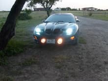 MY T/A w/ HID's