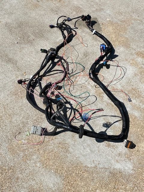 Engine - Electrical - Holly dominator wiring harness - New - All Years  All Models - Fair Grove, MO 65648, United States
