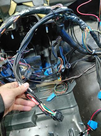 Haltech screen harness complete.