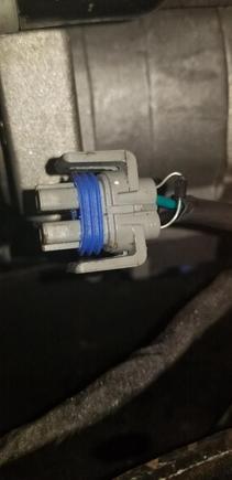 Black stripe on diode is on the hot side which is incorrect, right?