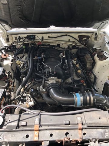 1985 Ford LTD - 1985 ltd ls1 swapped-built trans-8.8 swap with locker- nitrous express - Used - VIN 1fabp3936fa100423 - 8 cyl - 2WD - Automatic - Sedan - White - Summerville, SC 29483, United States