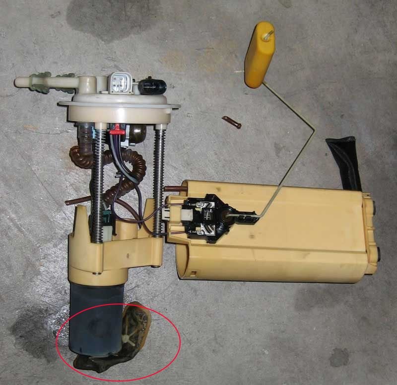 Fuel Pump Sock LS1TECH Camaro and Firebird Forum Discussion