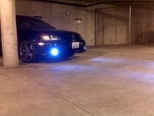 HID Fogs
