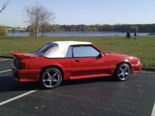Garage - Stang