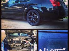 04 Maxima SE Nismo