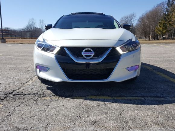 Tinted the fogs and vinyled my emblems pink 😉