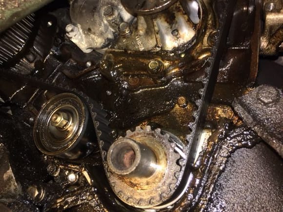 Oil leak from either the cam seals or the crankshaft seal?