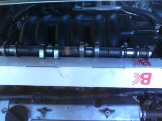 my new 3.5 cams
