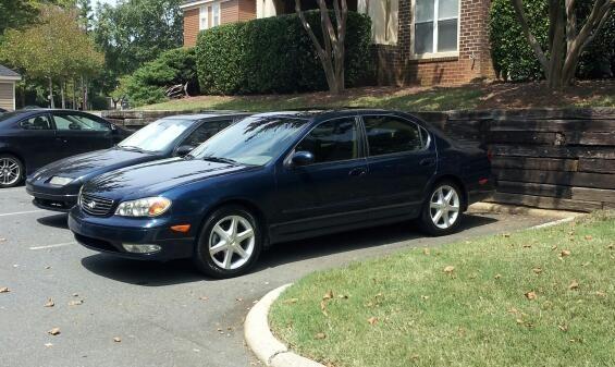 Fresh Tint
