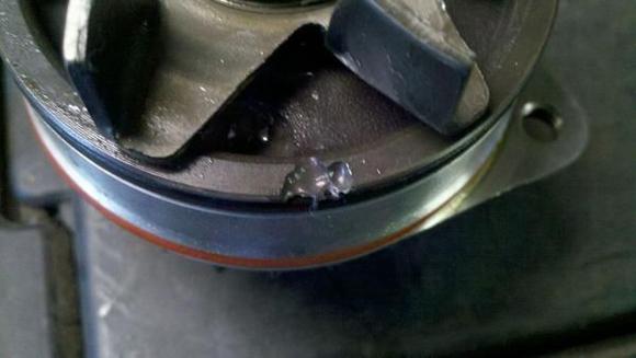Water pump damage 2
