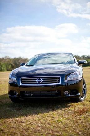 maxima front