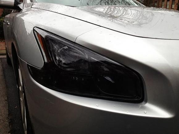 headlight with tint 2