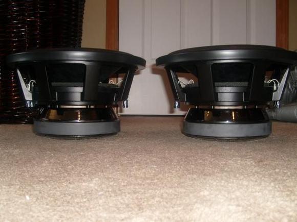 12" flatlynes