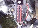 ECM Harness