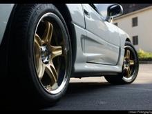 denesio pics (3)