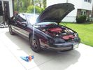 Garage - babe magnet
