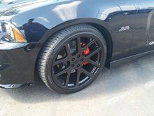22 in. Viper replicas!