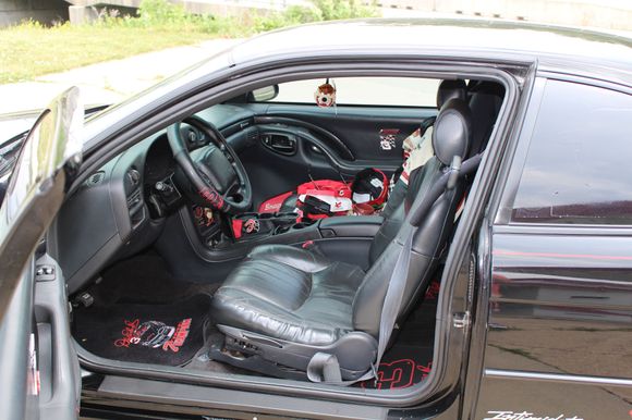 Front seats leather treated with Baby Oil
